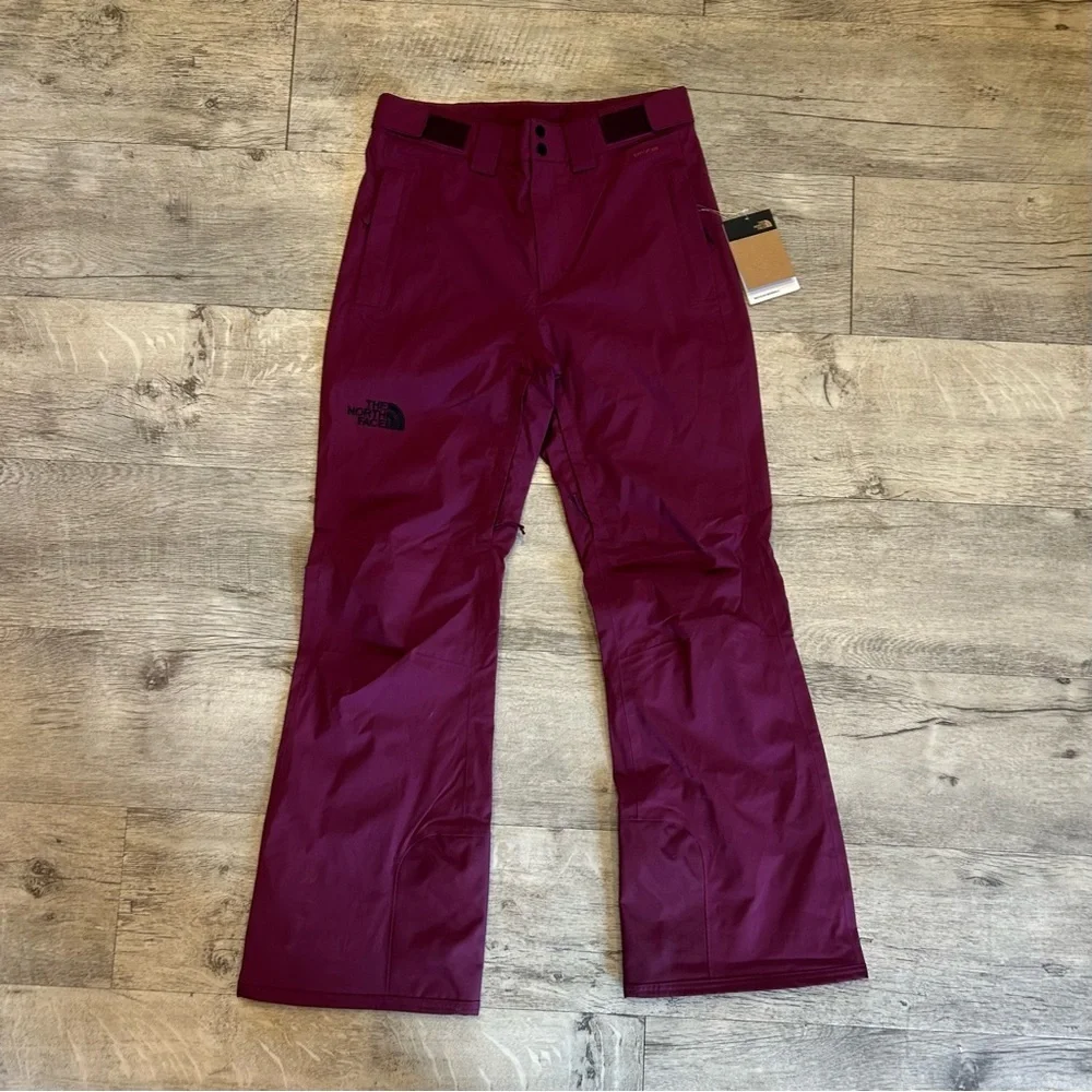 THE NORTH FACE Men's Freedom Stretch Pant, Boysenberry small/regular